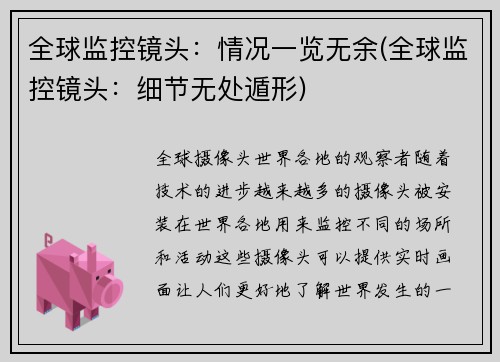 全球监控镜头：情况一览无余(全球监控镜头：细节无处遁形)